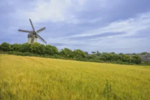 Grain Field Photography Europe Stampe: Cornfield and the Great Windmill