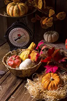 Vegetable Arrangement Stampe: Cornucopia