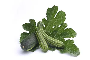Plain Background Food Image Stampe: Courgette, courgette