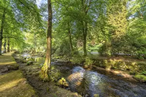 Central European River Course Stampe: Course of the river Enz in summer