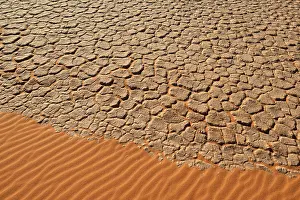 Deserted African Nature Reserve Stampe: Cracked mud patterns on the playa