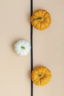 Autumn Composition Stampe: Creative Top view flat lay autumn composition