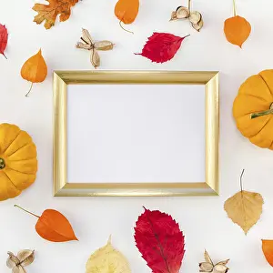 Autumn Composition Stampe: Creative Top view flat lay autumn composition