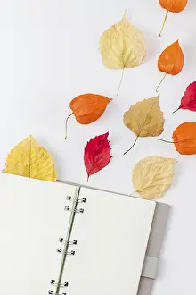 Autumn Composition Stampe: Creative Top view flat lay autumn composition