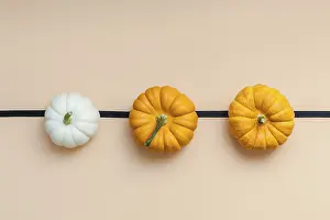 Autumn Composition Stampe: Creative Top view flat lay autumn composition