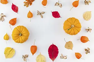 Ringraziamento Stampe: Composizione flat lay di inverno vista dall'alto creativa.