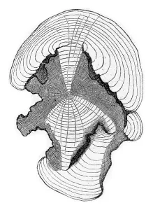 Empty Uninhabited Landscape Art Stampe: Cross-section at the stem shown in fig