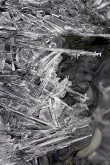 Frozen Landscape Stampe: Crystalline ice pattern