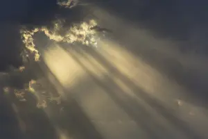 Cumulonimbus Cloud Formation Stampe: Cumulus cloud and rays of sunlight in the evening