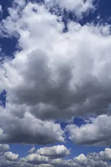 Weather Forecast Images Stampe: Cumulus clouds
