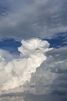 Weather Forecast Images Stampe: Cumulus clouds