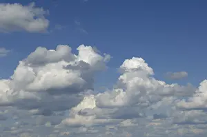 Cloudy Weather Stampe: Cumulus clouds