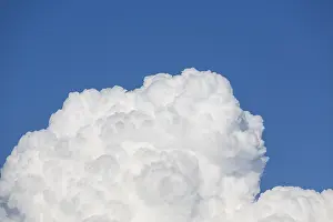 Cumulus Humilis Cloud Stampe: Cumulus Clouds