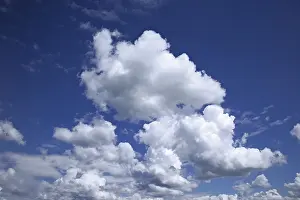 Blue Sky With Cumulus Cloud Stampe: Cumulus clouds
