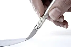 Handmade Crafts Stampe: Cut