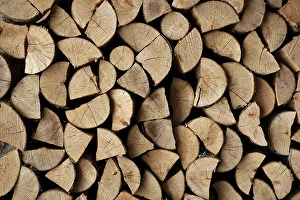 Firewood Stack Stampe: Cut firewood stack logs as pattern background