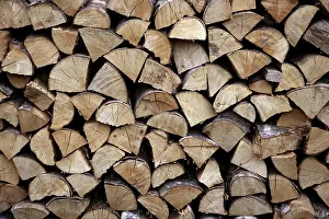 Firewood Stack Stampe: Cut firewood stack logs as pattern background
