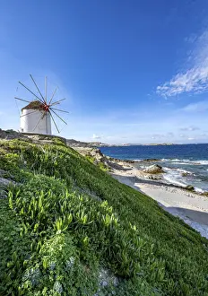 Aegean Sea Windmill Stampe: Cycladic windmill on the coast