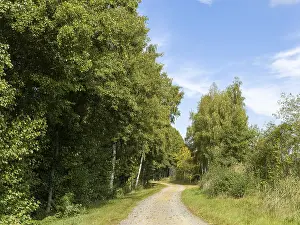 East Germany Landscapes Stampe: Cycle path and sandy path, Schlepzig