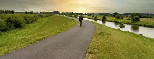 Cyclist On Cycle Path Stampe: Cyclist on a cycle path by the river