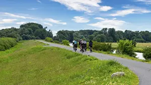 Fitness In Nature Stampe: Cyclist on a cycle path by the river