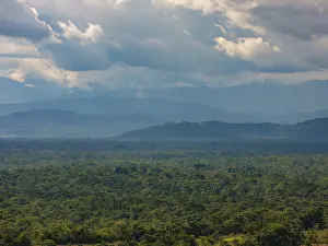 Overcast Sky Nature Scene Stampe: Dark clouds over the Amazon rainforest