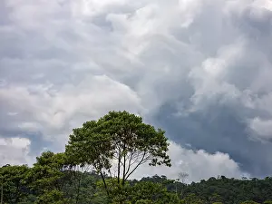 Tropical Jungle Landscape Stampe: Dark clouds over the Amazon rainforest