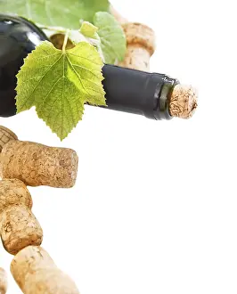 White Studio Background Images Stampe: Dated wine bottle corks and bottle on the white background with copy space