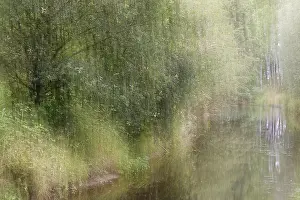 Long Time Exposure Photography Stampe: Deciduous forest on a stream, blurred