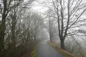 German Countryside Winter Stampe: Deciduous trees by the wayside