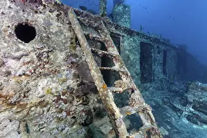 Red Sea Shipwreck Stampe: Deck superstructure with stairs