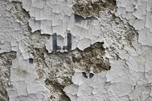 Deserted Urban Landscape Photography Stampe: Decrepitude of a wall