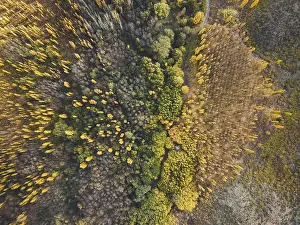 Mountain Chain Landscape Stampe: Default