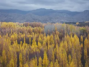 Autumnal Mountain View Stampe: Default