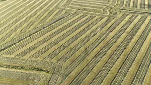 Agricultural Landscapes Stampe: Default