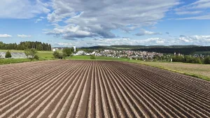 German Farmland Landscape Stampe: Default