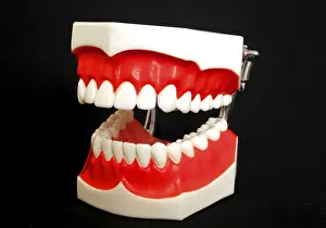 Oral Hygiene Symbol Stampe: Denture model