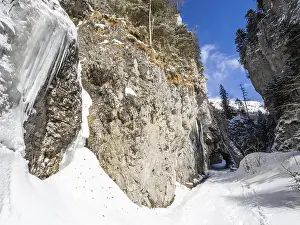 Deserted Gorge In Austria Stampe: Devil's Gorge in winter, Johnsbach