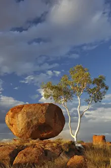 Devils Marbles Australia Stampe: The Devils Marbles (Karlu Karlu)