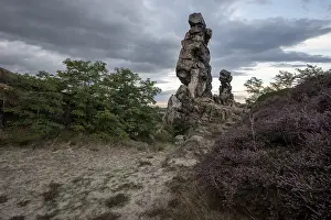 Harz Mountains Rock Formation Stampe: Devil's Wall, heather in front of it