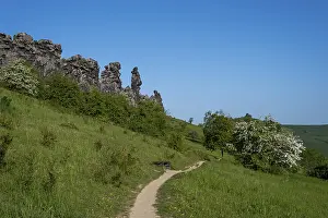 Sculpted Rock Formations Stampe: Devil's Wall, Konigsstein