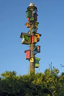 German Breeding Ground Stampe: Many different coloured nesting boxes on a stake