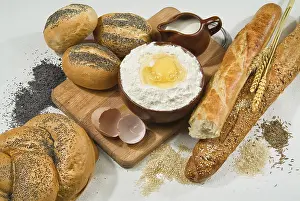 Different Kinds Of Bread Stampe: Different kinds of bread on a studio background