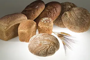 Different Kinds Of Bread Stampe: Different kinds of bread on a studio background