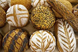 Bread Photography Stampe: Different kinds of breads seen from above