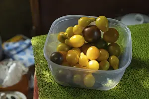 Natural Light Photography Stampe: Different tomatoes in plastic container on the kitchen table