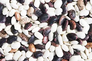 Close Up Bean Images Stampe: Different types of dried beans