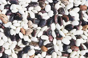 Dried Beans Stampe: Different types of dried beans