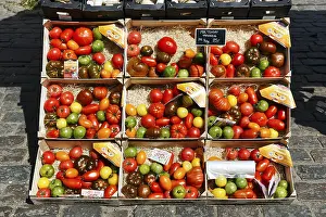 Colorful Vegetable Selection Stampe: Different types of old tomatoes in boxes
