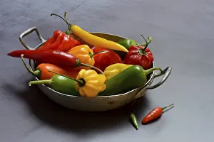 Vegetable Diversity Stampe: Different types of peppers in shell, Germany